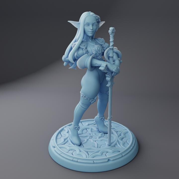 Melrissa the Elven Paladin By Twin Goddess Miniatures