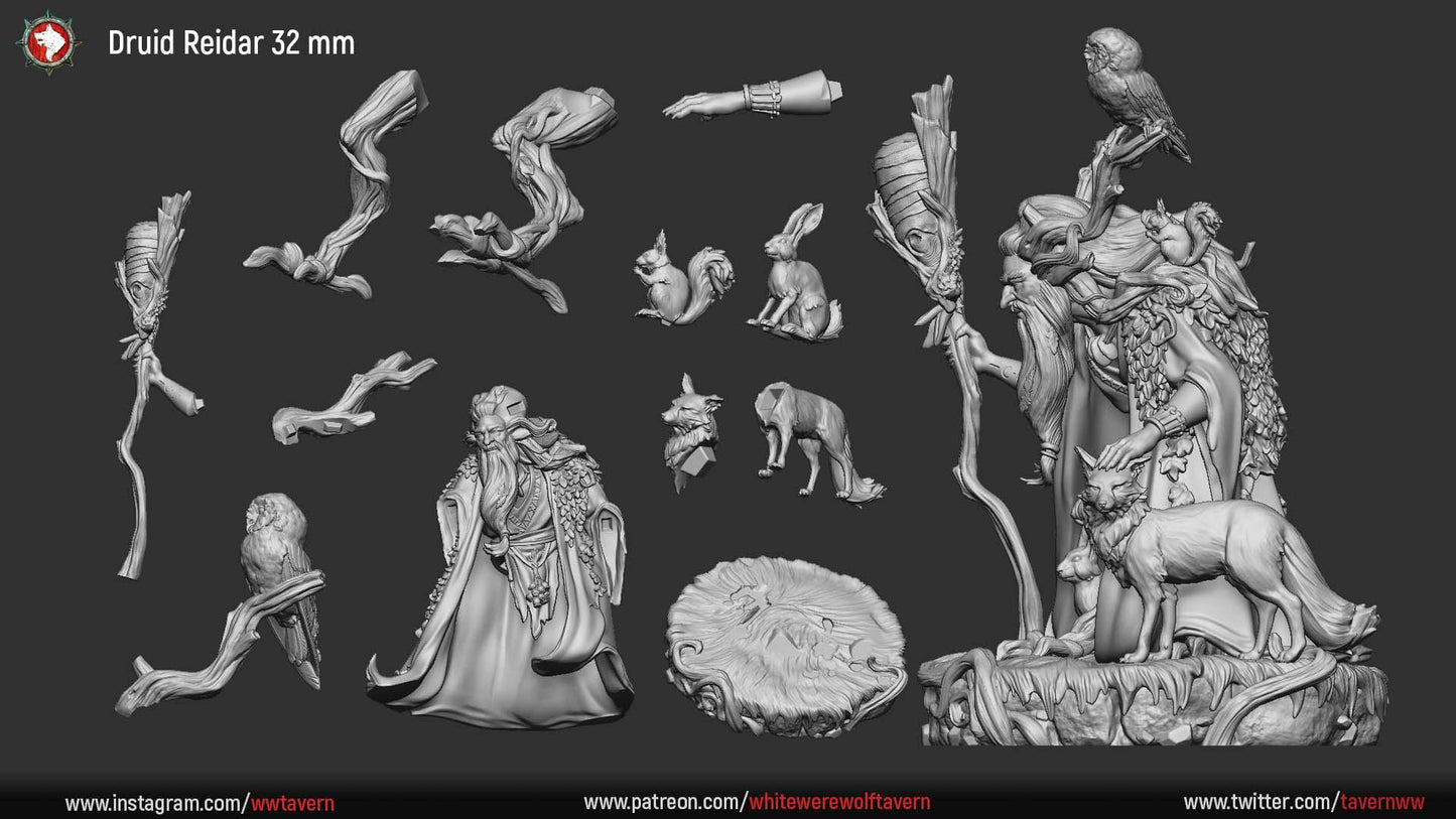 Druid Reidar from "Mystical Forest" by White Werewolf Tavern Miniatures