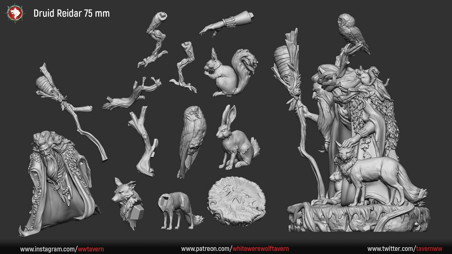 Druid Reidar from "Mystical Forest" by White Werewolf Tavern Miniatures