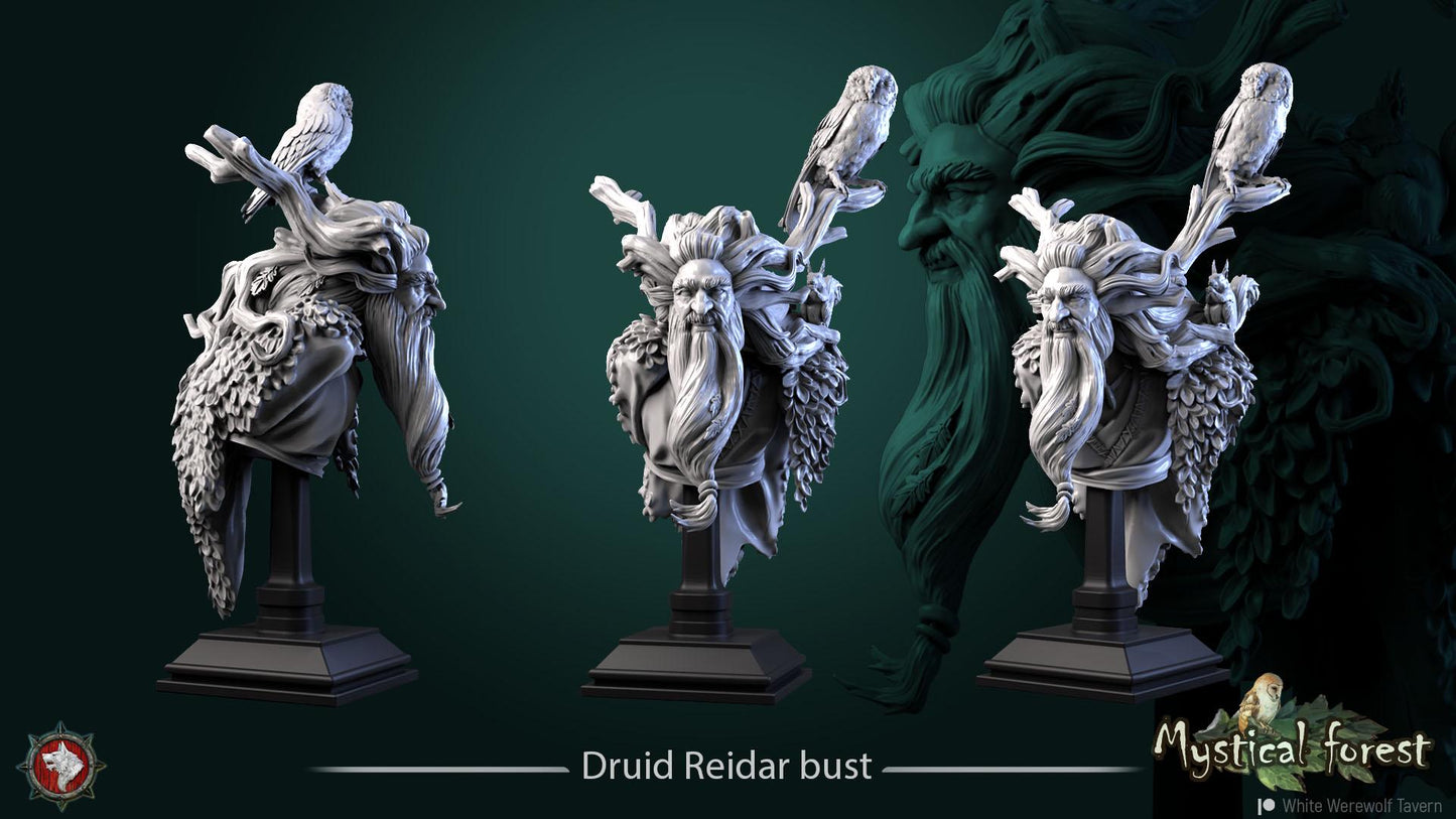 Druid Reidar from "Mystical Forest" by White Werewolf Tavern Miniatures