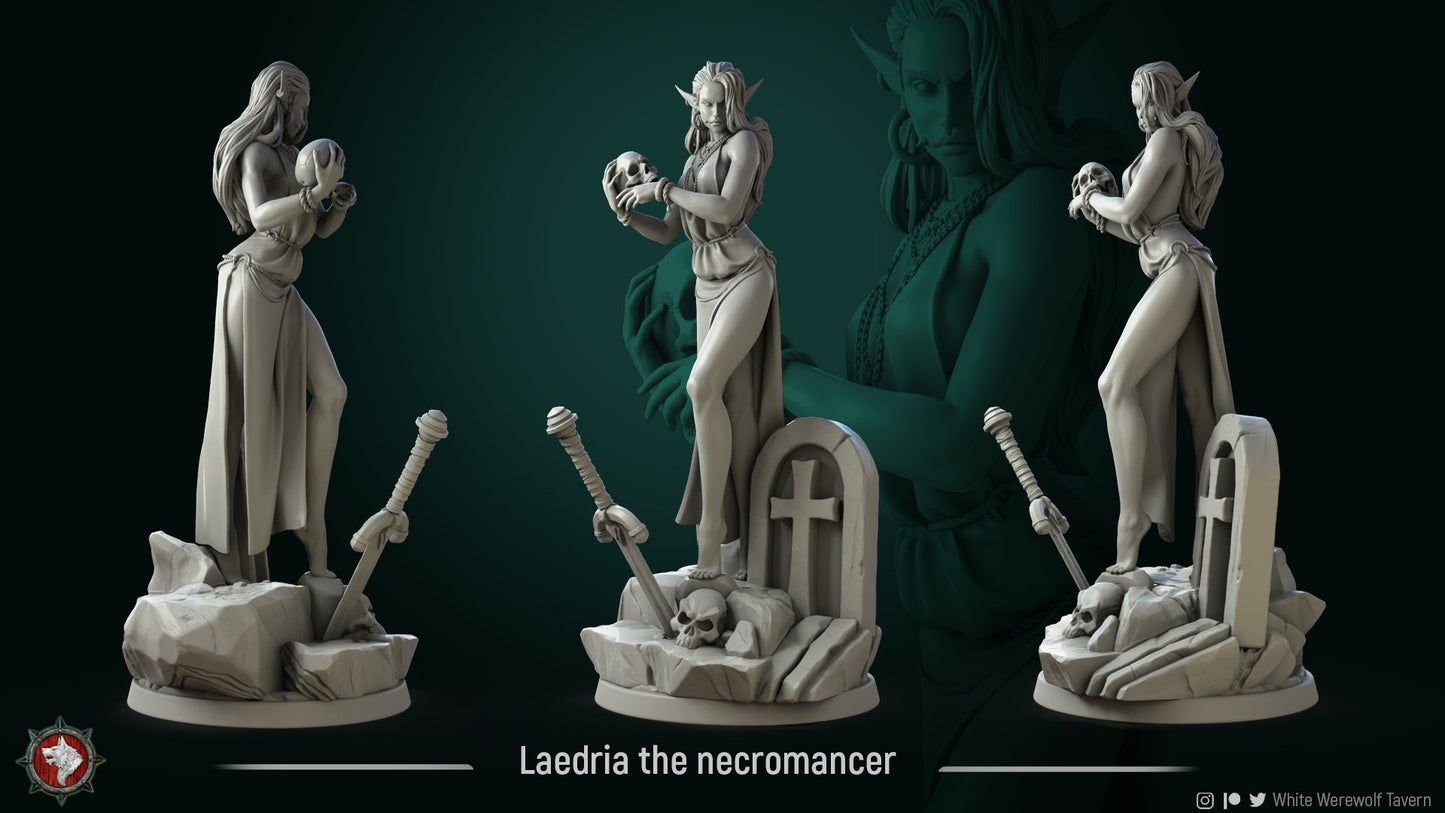 Laedria The Necromancer from "Covenant of Death" by White Werewolf Tavern