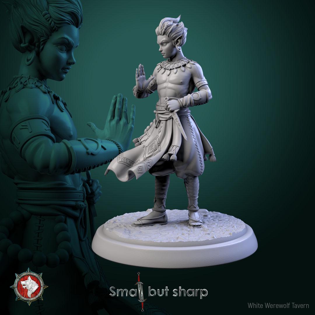 Halfling Monks from "Small but sharp" by White Werewolf Tavern Miniatures