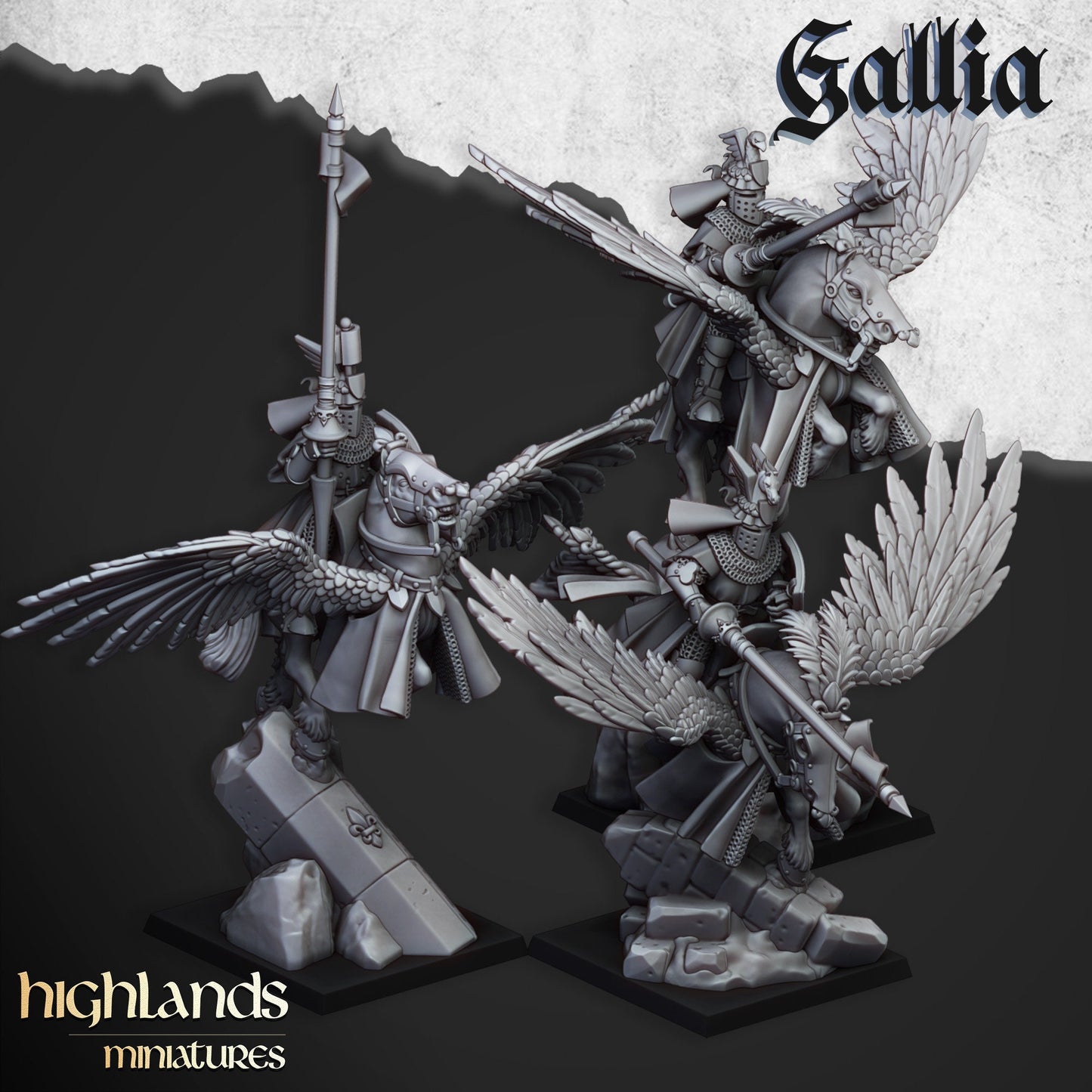 Pegasus Knight Unit of Gallia by Highland Miniatures