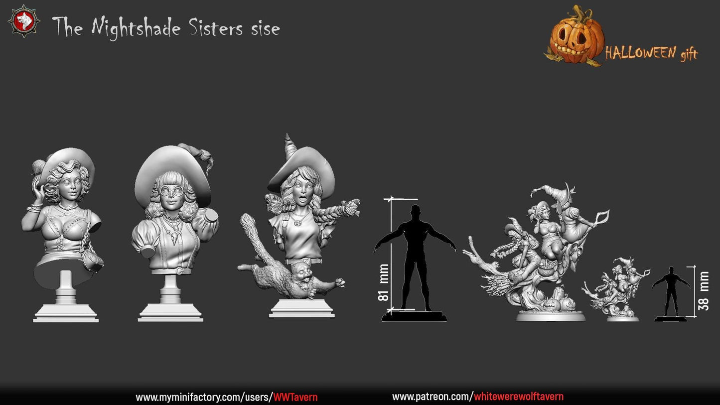 The Nightshade Sisters from Halloween by White Werewolf Tavern Miniatures