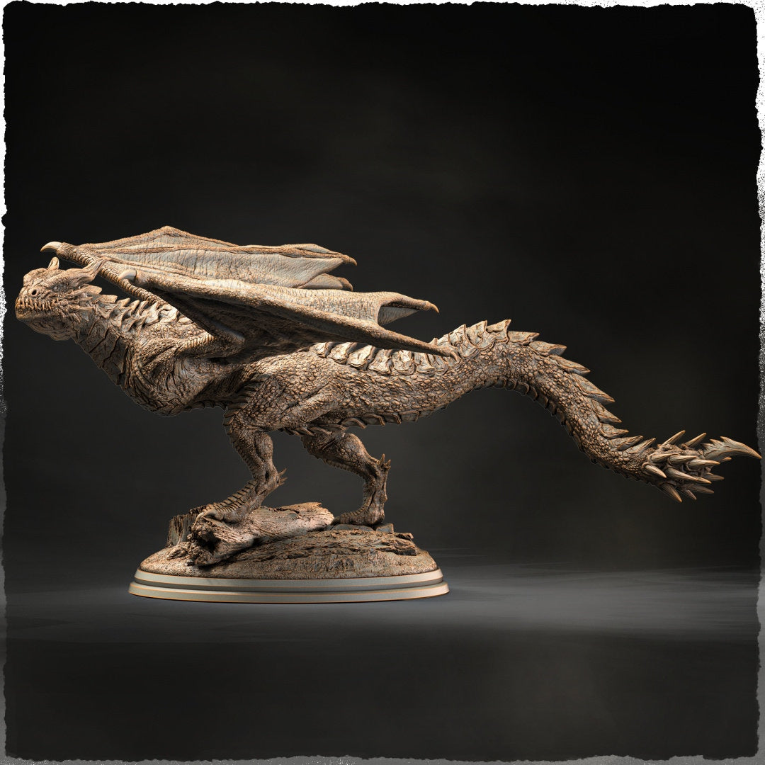 Wyvern by Evox Arts Miniatures