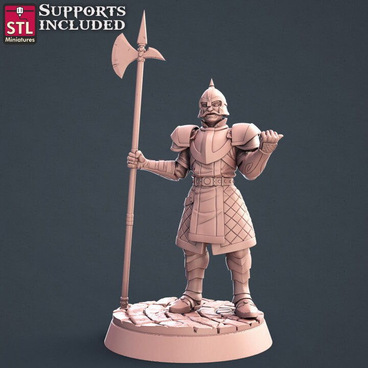 City Guards Set by STL Miniatures