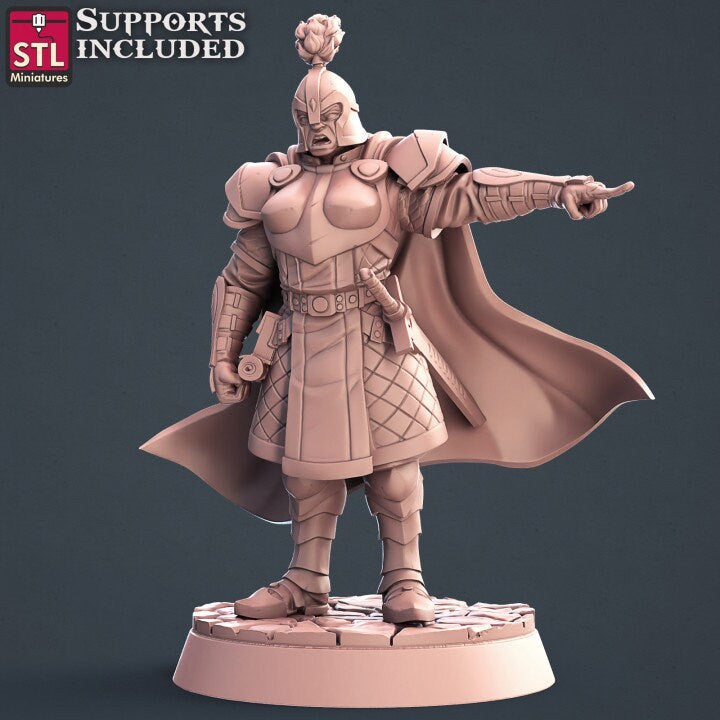 City Guards Set by STL Miniatures