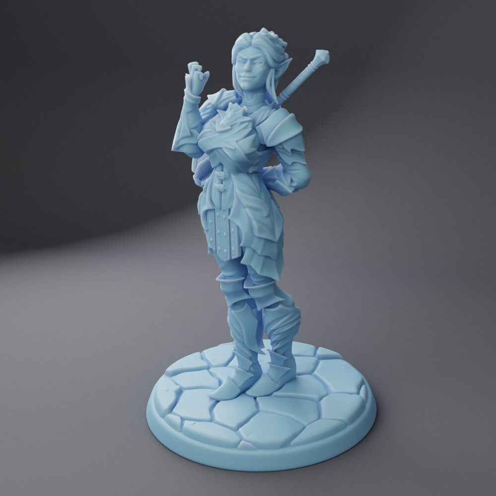 January Adventuring Party by Twin Goddess Miniatures