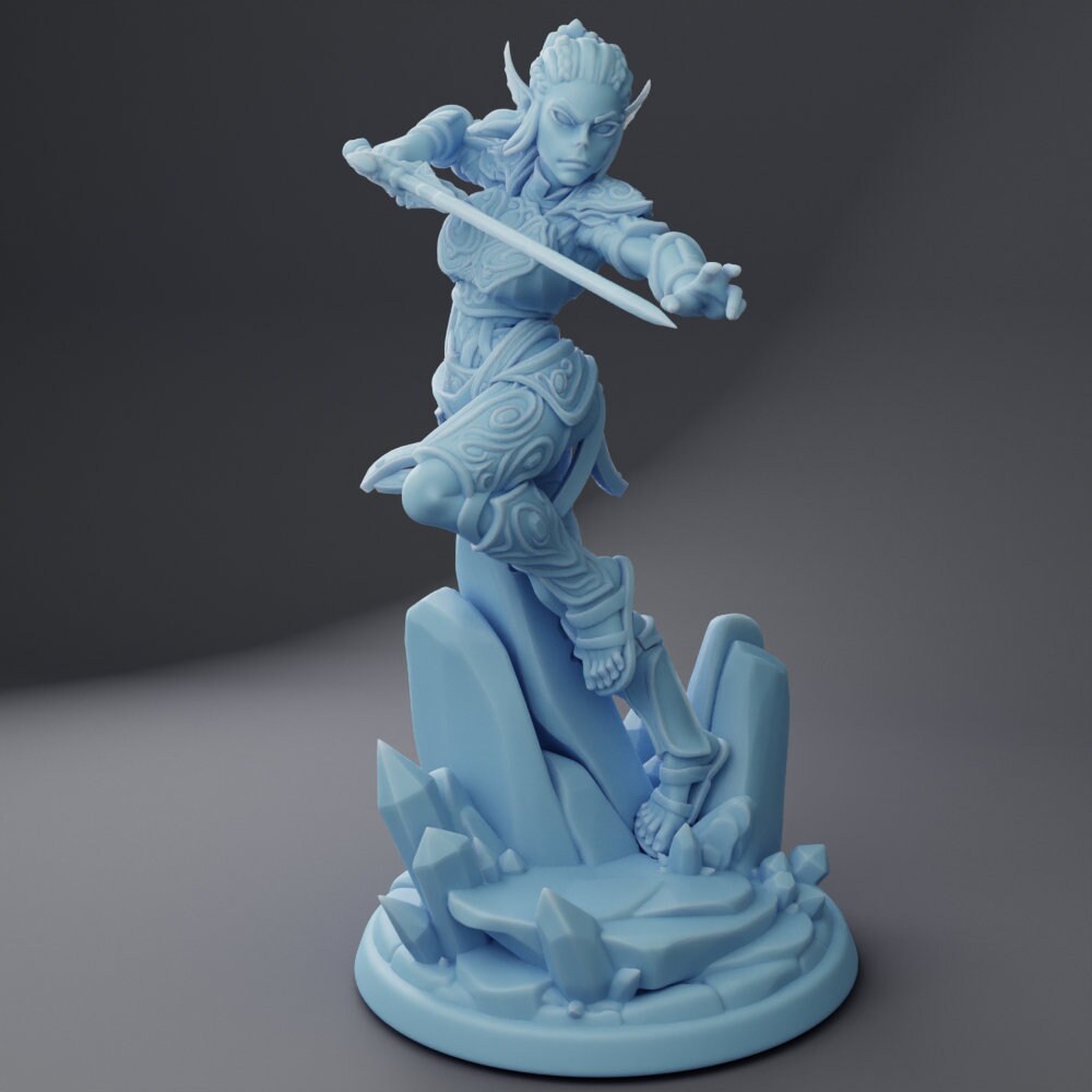 January Adventuring Party by Twin Goddess Miniatures