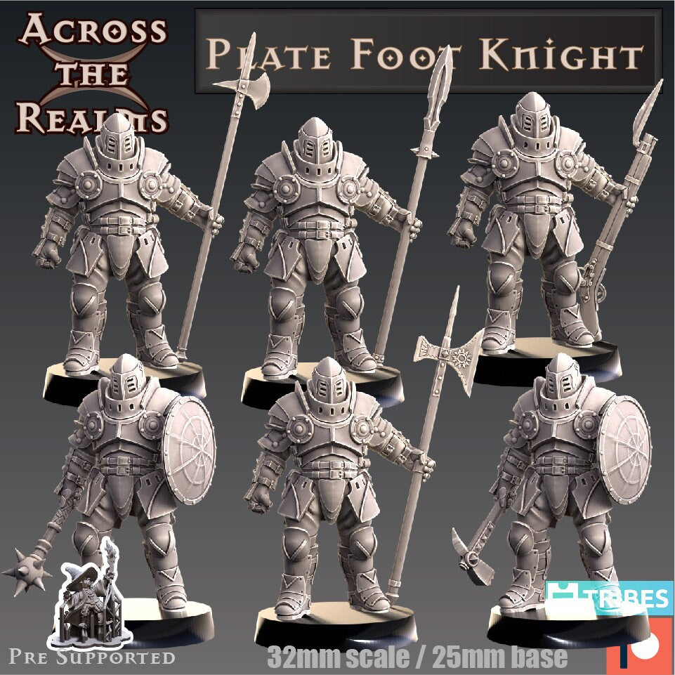 Knights , Nuns and Creatures of the Night by Across the Realms Miniatures