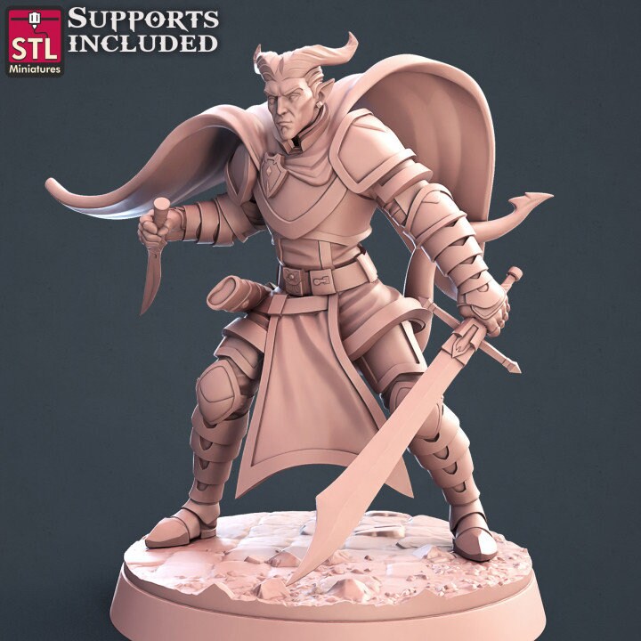 Paladin Set by STL Miniatures