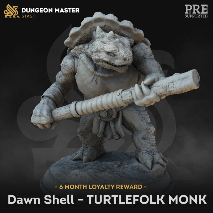 Dawn Shell Turtle Monk by DM Stash Miniatures
