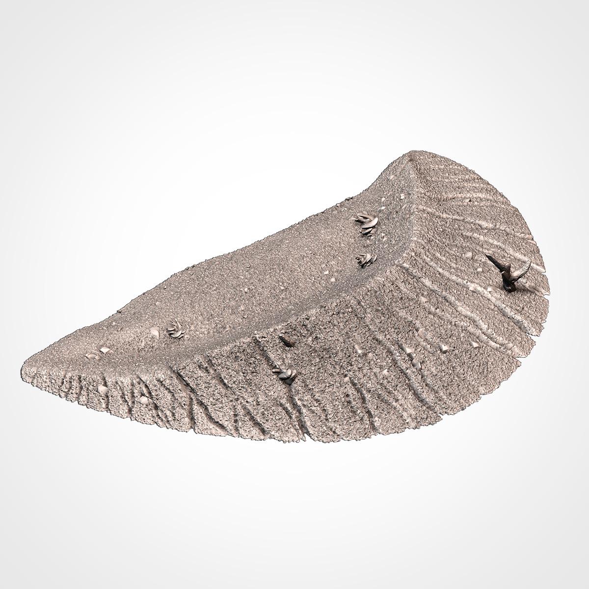 Egyptian Monuments and Pyramids by Txarli Factory Terrain