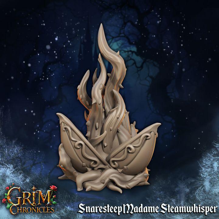 Madame Steamwhisper from "Grim Chronicles" by Great Grimoire Miniatures