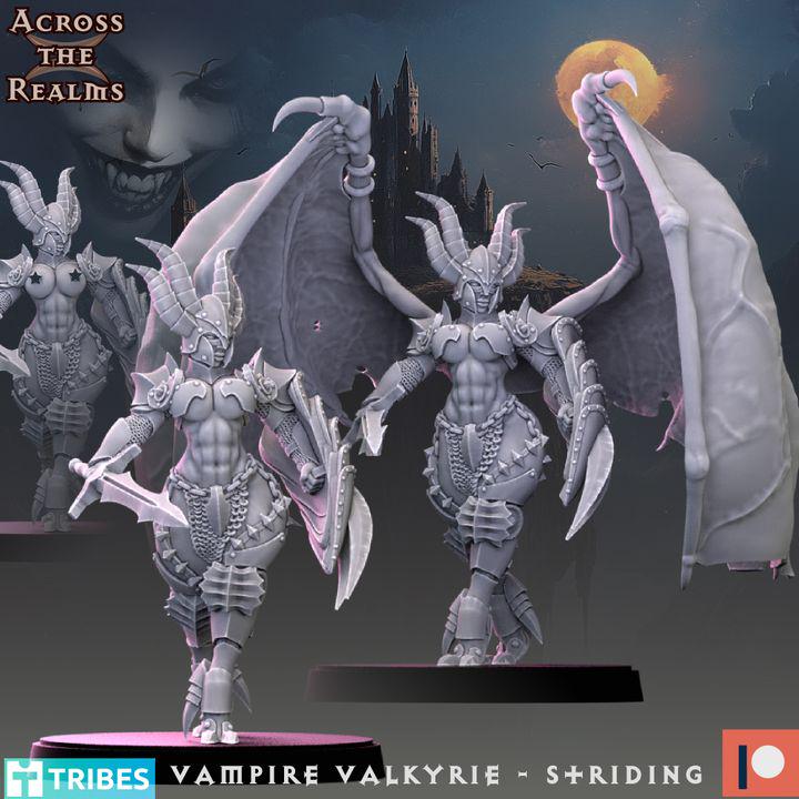 Vampire Valkyrie - Striding by Across the Realms Miniatures