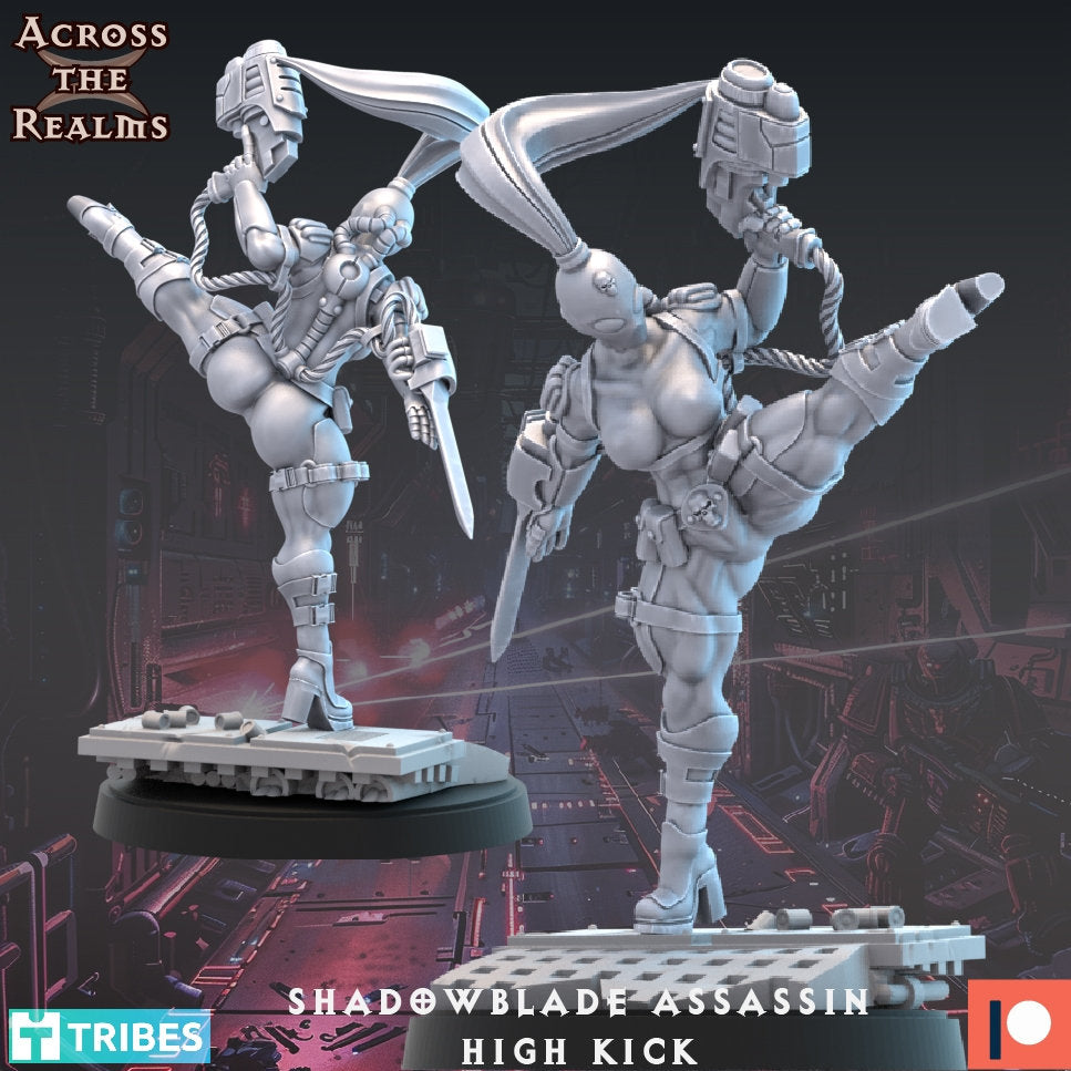 Shadowblade Assassins by Across the Realms Miniatures