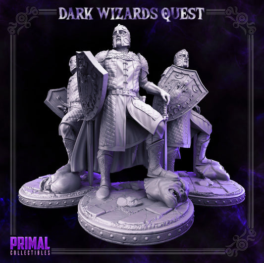 Demetrius Knight from Dark Wizard Quest by Primal Collectibles Miniatures
