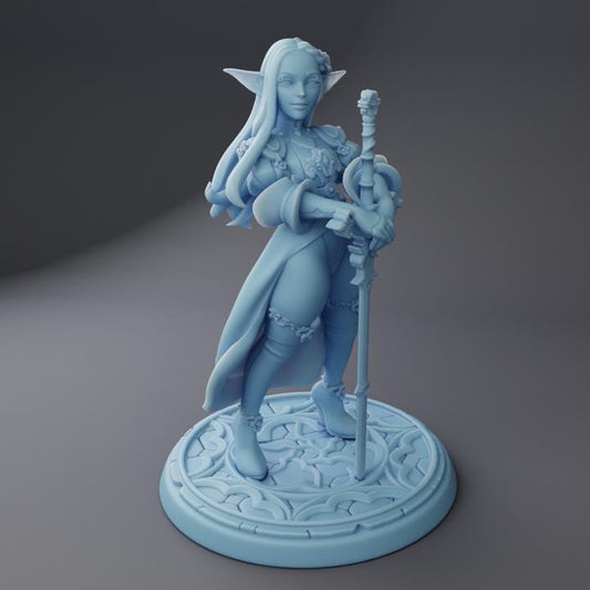 Melrissa the Elven Paladin By Twin Goddess Miniatures