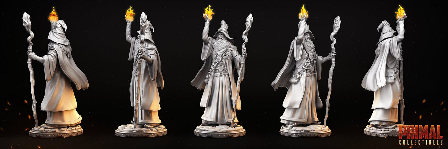 Solon Old Wizard by Primal Collectibles Miniatures Heroquest RPG