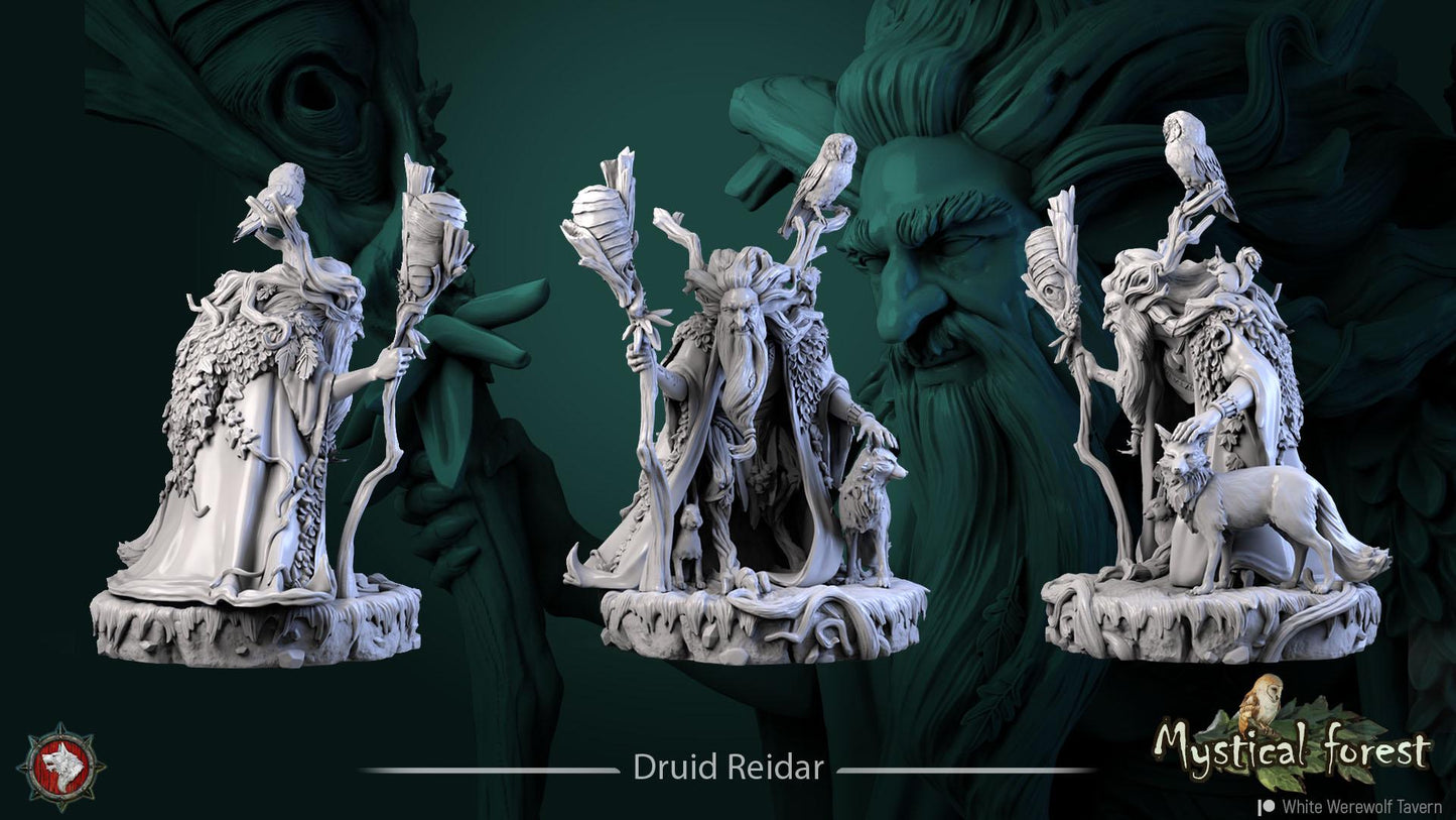 Druid Reidar from "Mystical Forest" by White Werewolf Tavern Miniatures