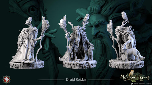 Druid Reidar from "Mystical Forest" by White Werewolf Tavern Miniatures