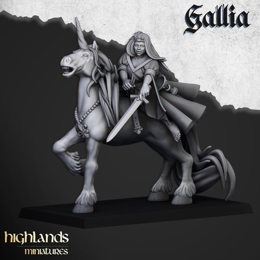 Lady of Gallia on Unicorn  by Highland Miniatures