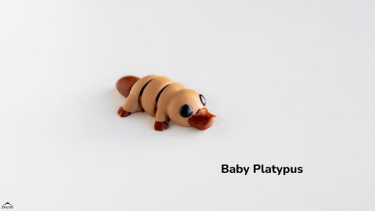 Baby Platypus 3D Printed Fidget Toy by  Zou3D