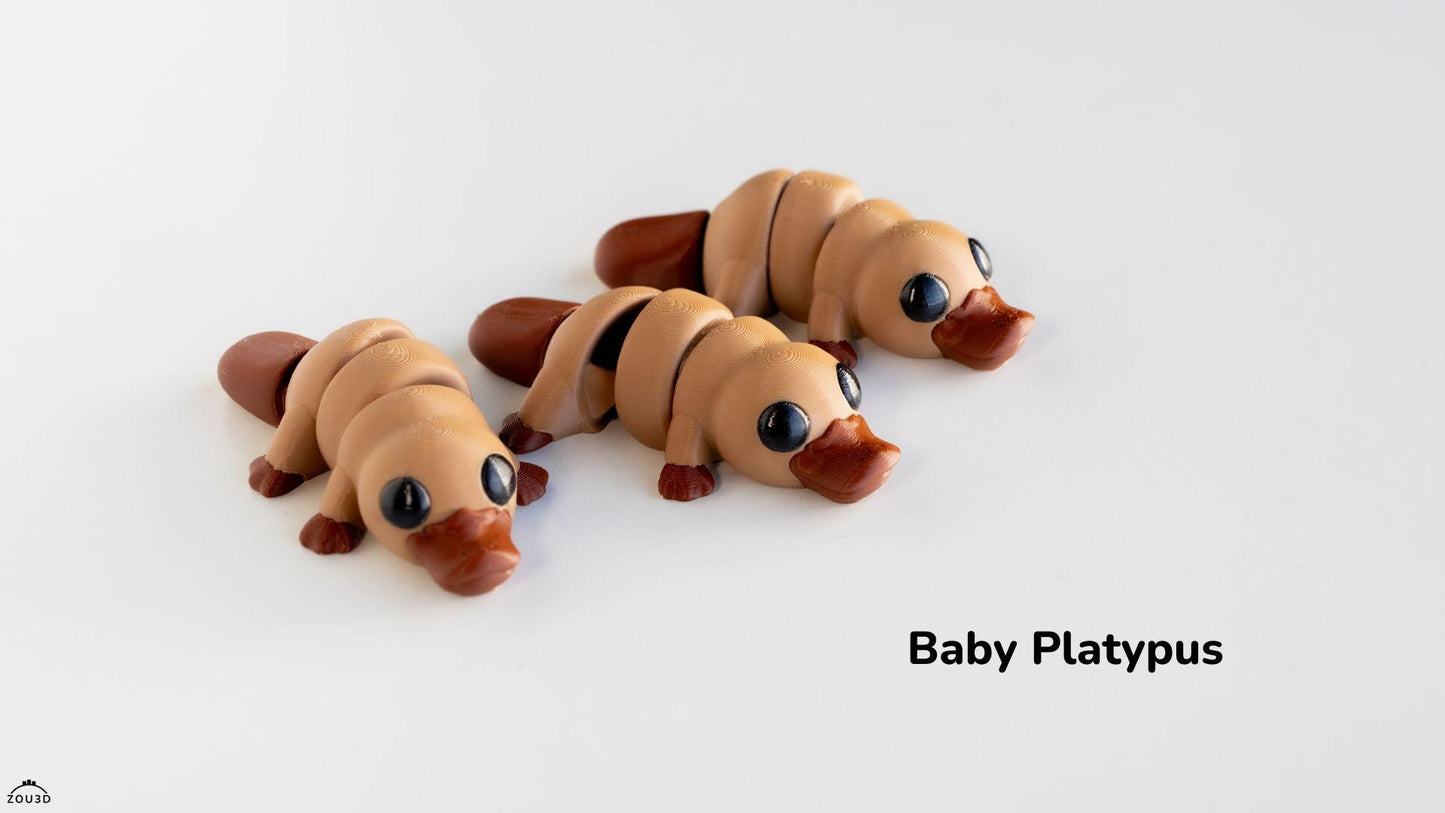 Baby Platypus 3D Printed Fidget Toy by  Zou3D