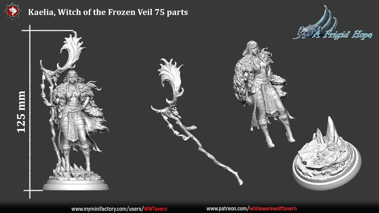 Kaelia, Witch of the Frozen Veil from "A Frigid Hope" by White Werewolf Tavern Miniatures