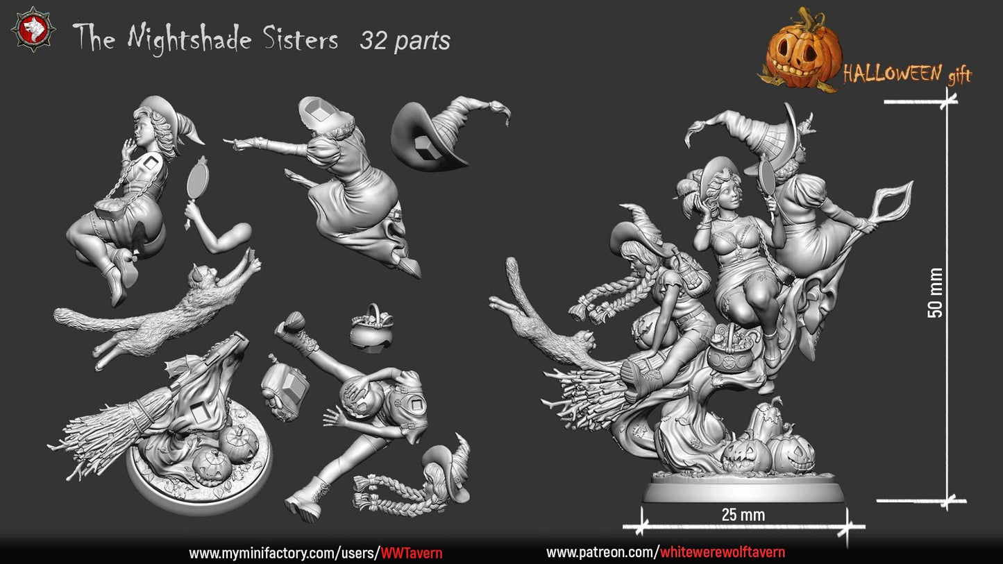 The Nightshade Sisters from Halloween by White Werewolf Tavern Miniatures