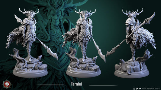 Tarniel Elf King from "Elven Veil" by White Werewolf Tavern Miniatures RPG