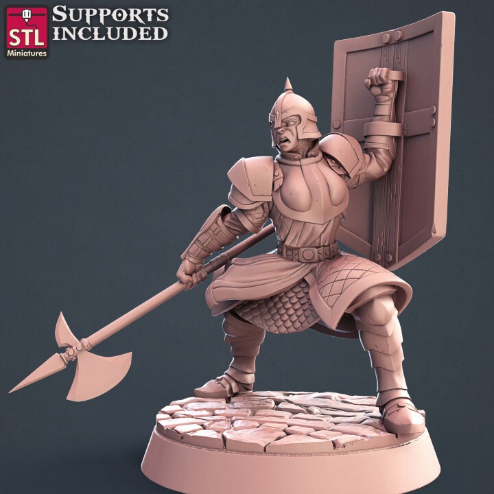 City Guards Set by STL Miniatures