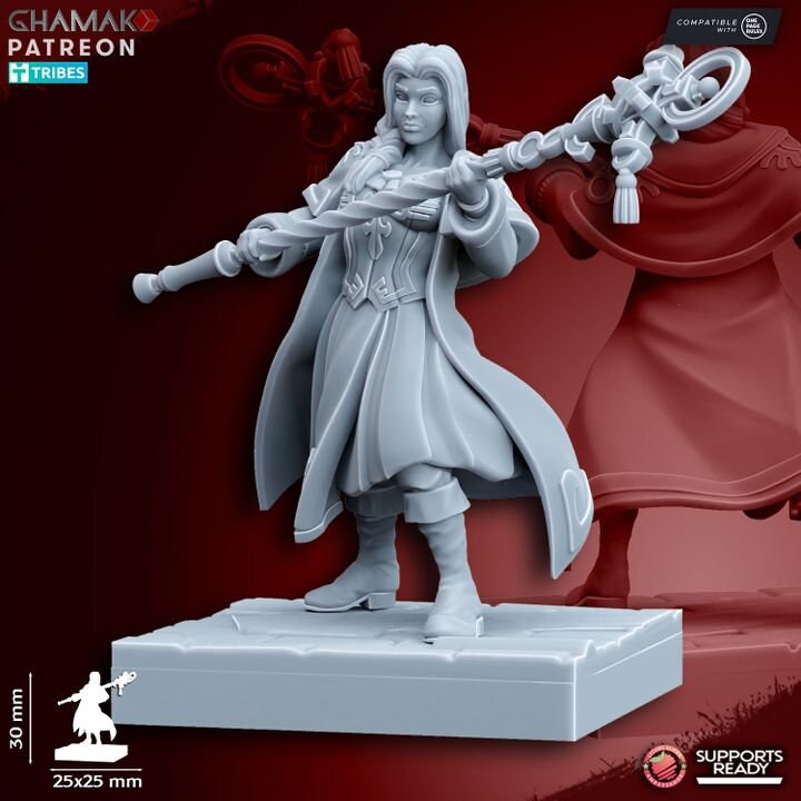 Sunev Wizard  by Ghamak Miniatures