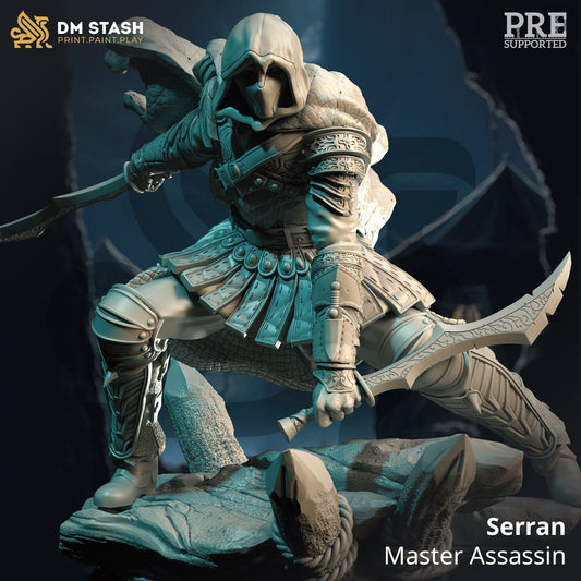 Master Assassin from "Of Elves and Men" by DM Stash Miniatures