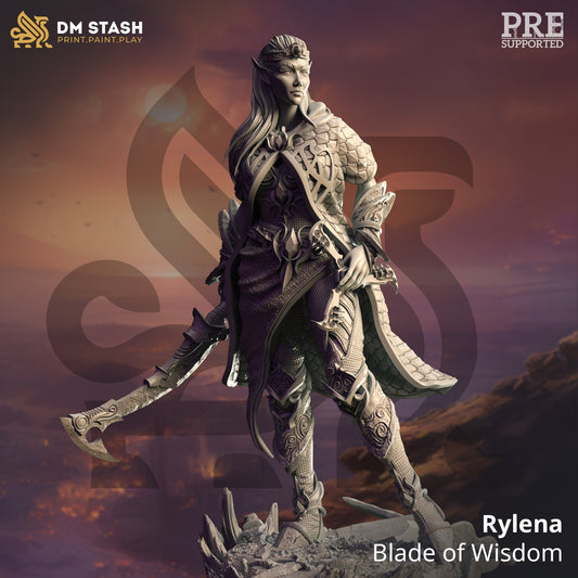 Elf Spellblade from "Arcane Skies" by DM Stash Miniatures
