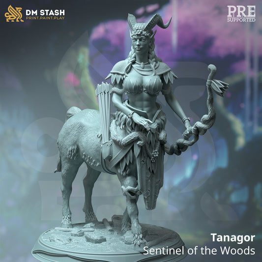 Tanagor Centaur from "Feywalkers" by DM Stash Miniatures