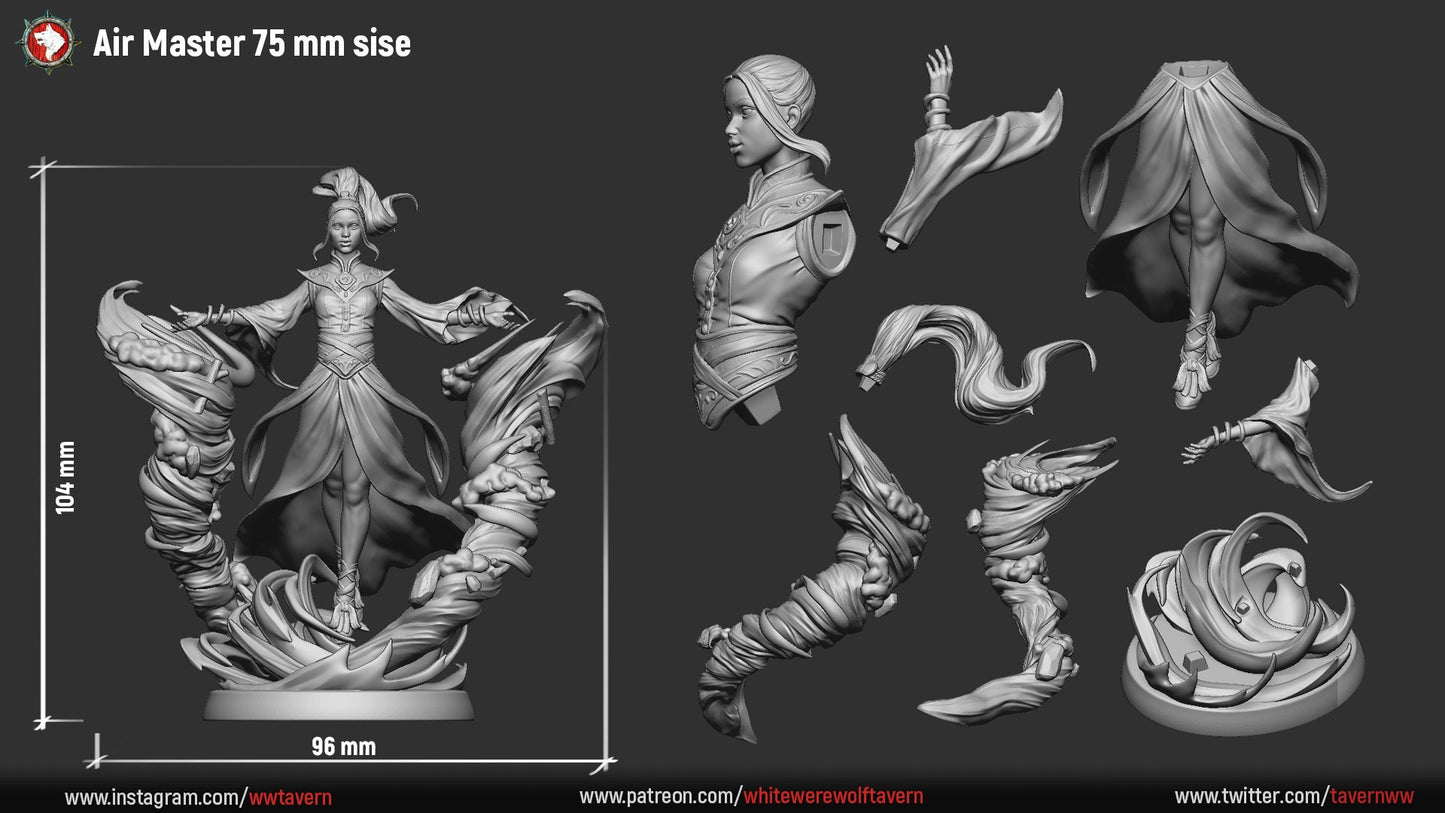 Air Master from "4 Elements" by White Werewolf Tavern Miniatures RPG DnD