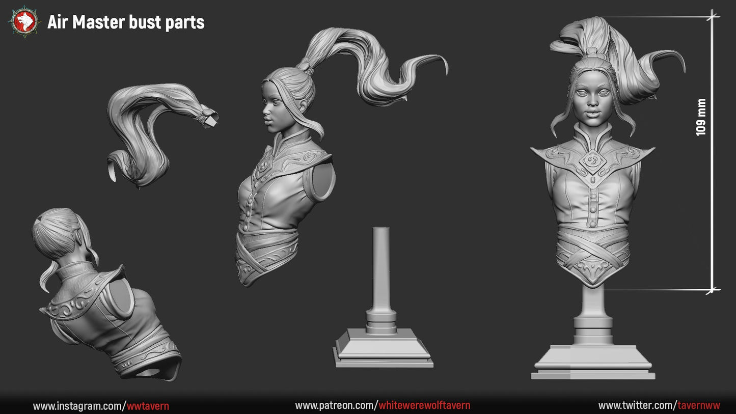 Air Master Bust from "4 Elements" by White Werewolf Tavern Miniatures RPG