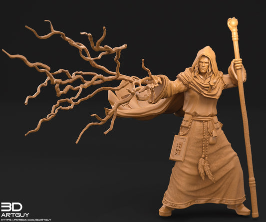 Wizard by 3Dartguy Miniatures