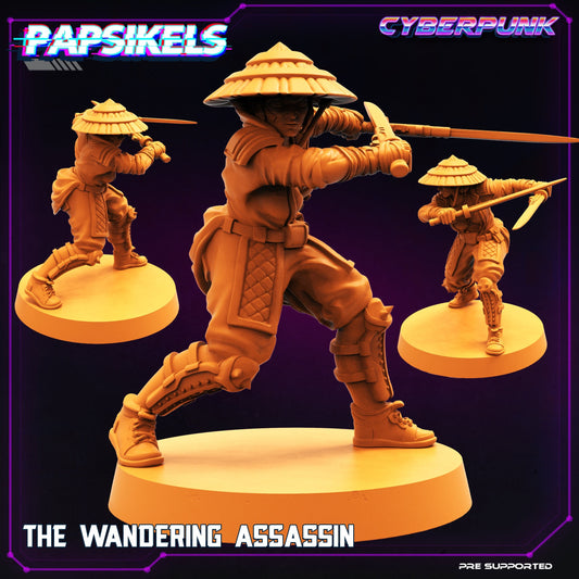 Wandering Assassin by Papsikels Cyberpunk Miniatures