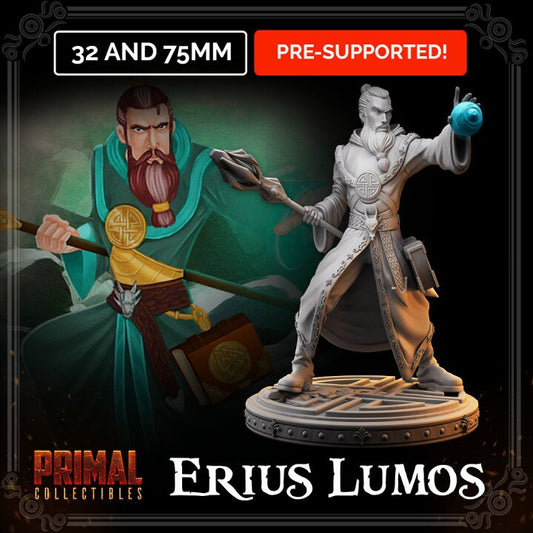 Wizard Erius by Primal Collectibles Miniatures
