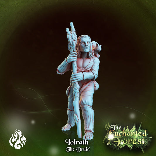 Lolrath the Druid from "Enchanted Forest" by Crippled God Foundry