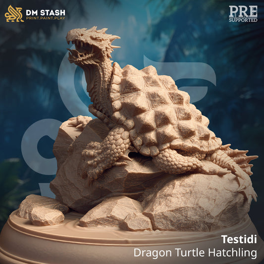 Dragon Turtle Hatchling from "Lost and Found" by DM Stash Miniatures