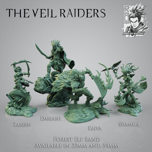 The Veil Raiders by Ronin Arts Workshop Miniatures