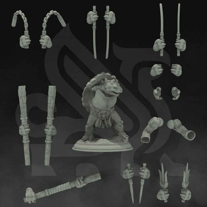 Dawn Shell Turtle Monk  by DM Stash Miniatures