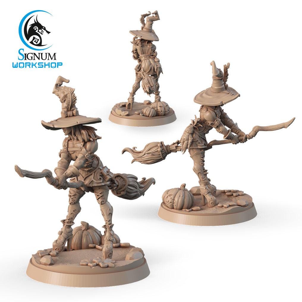 Charming witcher with a broom from "Witches Sabbath" by Signum Workshop Miniatures