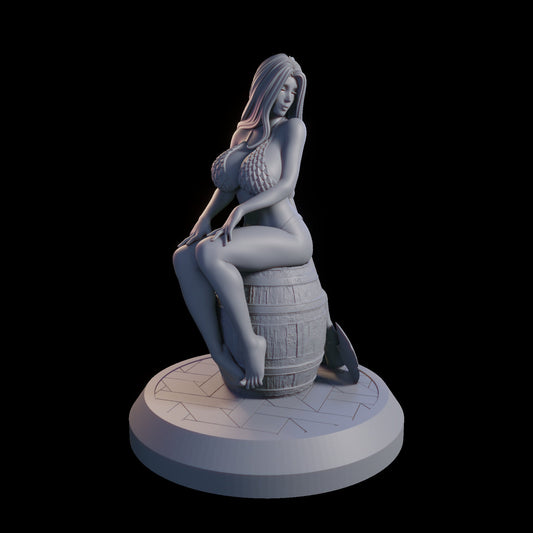 Knight Anne from "Knights of Ditz" by QB Works Miniatures