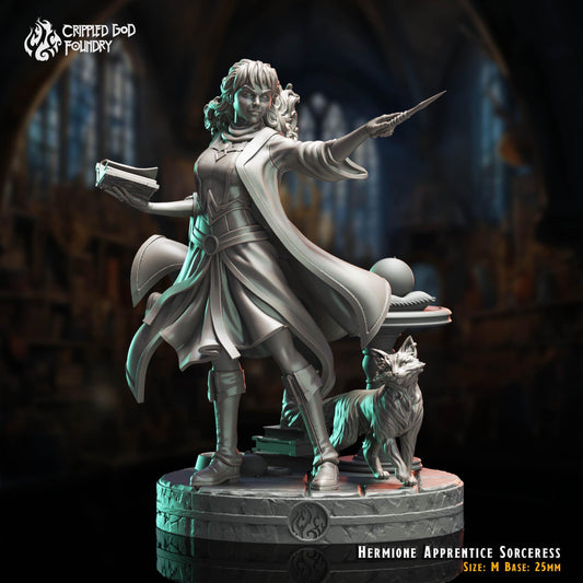 Hermione, Apprentice Sorceress from "The Imposter Mage" by Crippled God Foundry Miniatures