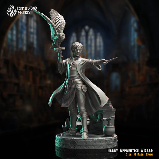 Harry, Apprentice Wizard from "The Imposter Mage" by Crippled God Foundry Miniatures