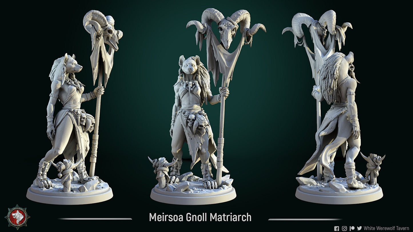 Meirsoa Gnoll Matriarch by White Werewolf Tavern Miniatures RPG